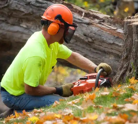 tree services Port Washington North